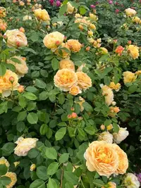 写メ日記 まきな 5/6(水) 23:34