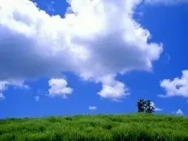 写メ日記 まなみ 5/7(木) 15:43