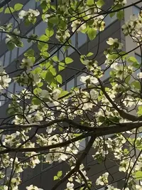 写メ日記 ほたる 5/9(土) 11:53