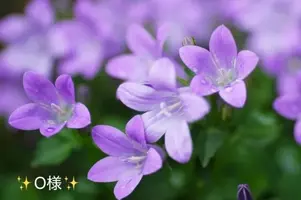 写メ日記 小山真帆 5/9(土) 19:46