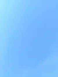 写メ日記 さくら 5/13(水) 17:31