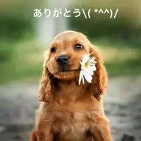 写メ日記 すみ 5/14(木) 15:54