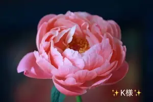写メ日記 小山真帆 5/14(木) 18:12