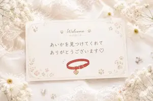 写メ日記 あいか 5/21(木) 17:12