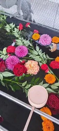 写メ日記 まつり 5/24(日) 14:53