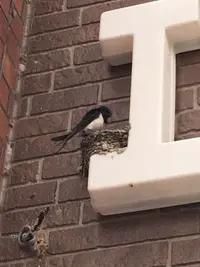写メ日記 りな 5/27(水) 08:31