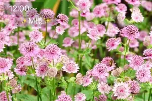 写メ日記 小山真帆 6/7(日) 15:26