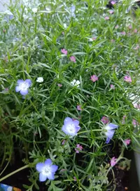 写メ日記 篠原尚美 6/9(火) 14:02
