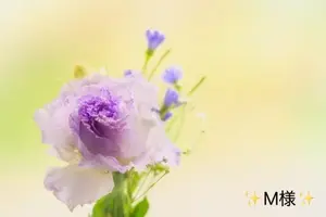 写メ日記 小山真帆 6/10(水) 21:30