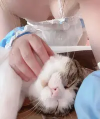 写メ日記 りりか 6/13(土) 10:30