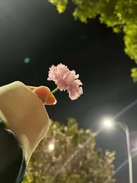 写メ日記 さく 6/14(日) 02:47