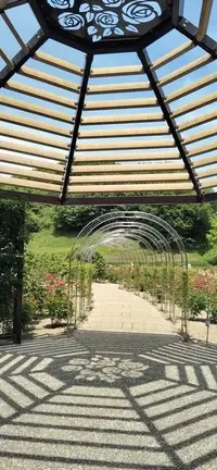 写メ日記 ひなの 6/16(火) 11:04