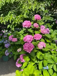 写メ日記 のりか 6/18(木) 09:14