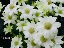 写メ日記 小山真帆 6/18(木) 20:24