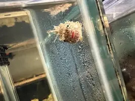 写メ日記 まこと 6/19(金) 01:16