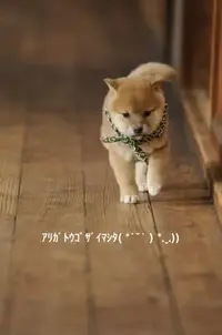 写メ日記 すみ 6/19(金) 13:54