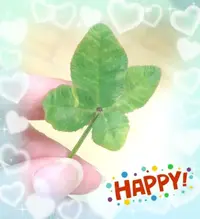 写メ日記 池畑美香 6/24(水) 12:22