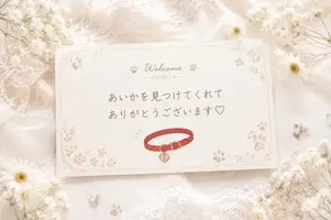 写メ日記 あいか 6/25(木) 20:03