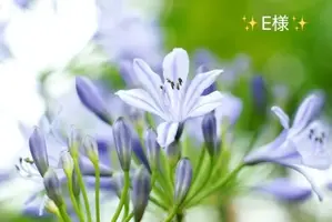 写メ日記 小山真帆 6/30(火) 09:30
