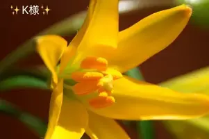 写メ日記 小山真帆 7/1(水) 18:08