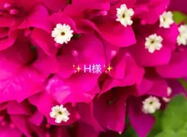 写メ日記 小山真帆 7/1(水) 21:23