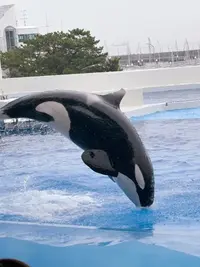 写メ日記 あきな 7/7(火) 13:18