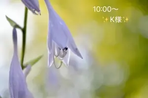 写メ日記 小山真帆 7/10(金) 06:30