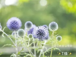 写メ日記 小山真帆 7/12(日) 08:58