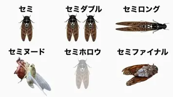 写メ日記 りな 7/14(火) 10:01