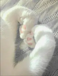 写メ日記 さく 7/14(火) 15:59