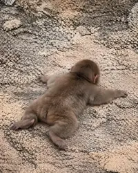 写メ日記 りな 7/21(火) 09:50
