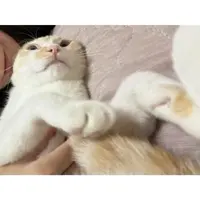 写メ日記 ゆの 7/25(土) 10:15