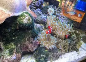 写メ日記 あすか 8/2(日) 12:07