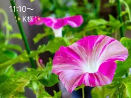 写メ日記 小山真帆 8/7(金) 11:20