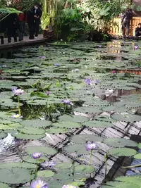 写メ日記 ゆうな 8/8(土) 19:49
