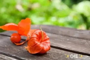写メ日記 小山真帆 8/13(木) 08:20
