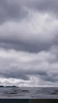 写メ日記 黒木さゆり 8/15(土) 17:14