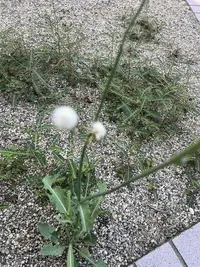 写メ日記 まこと 8/21(金) 18:27