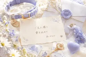 写メ日記 あいか 8/21(金) 18:36