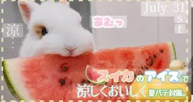 写メ日記 いずみ 8/29(土) 00:01