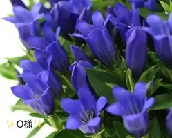 写メ日記 小山真帆 9/2(水) 13:56