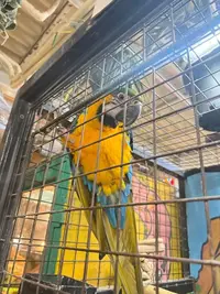 写メ日記 あかり 9/4(金) 07:25
