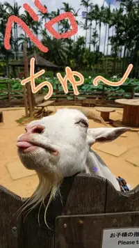 写メ日記 エミリー 9/5(土) 07:14