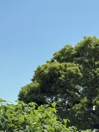 写メ日記 みき 9/5(土) 17:41