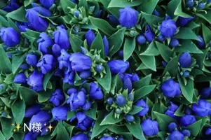 写メ日記 小山真帆 9/6(日) 20:02