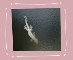 写メ日記 池畑美香 9/9(水) 21:42