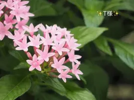 写メ日記 小山真帆 9/11(金) 11:58