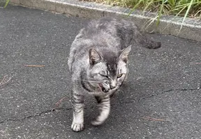 写メ日記 ななせ 9/22(火) 11:21