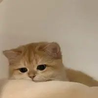 写メ日記 さく 9/26(土) 16:37