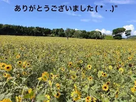 写メ日記 すみ 9/29(火) 18:34